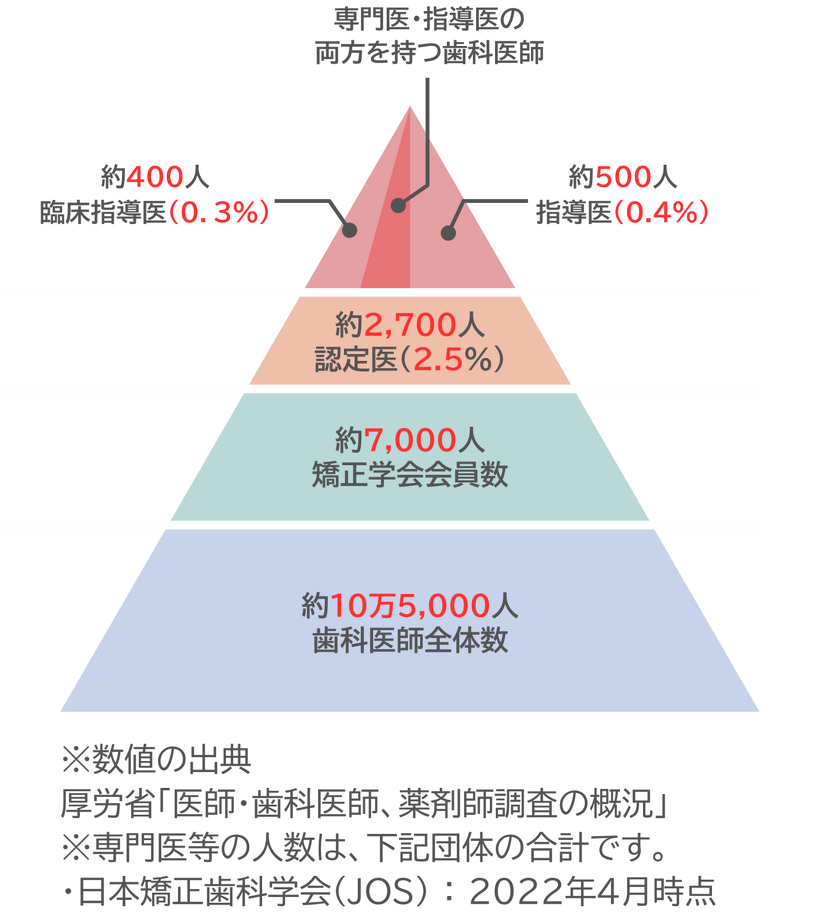 専門医・指導医両方の資格をもつ歯科医師は矯正歯科学会1万人以上の中のごくわずか。出展：厚生労働省「医師・歯科医師、薬剤師調査の概況」