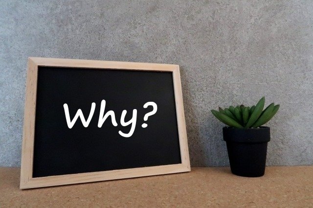 why?と書いてある黒板と観葉植物